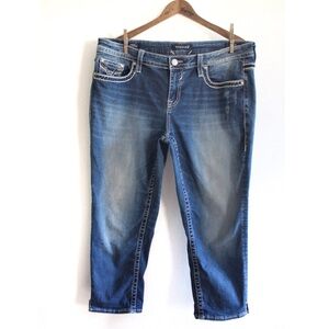 Vigoss Heritage Fit Dublin Crop Straight Blingy Jeans Plus Size 16